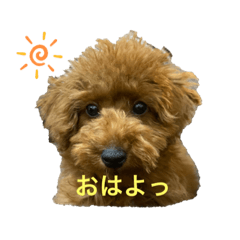 rina_20200526172235