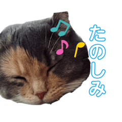 kichi_20200527005208