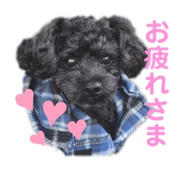 mina_20200526234049