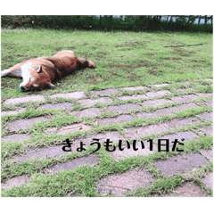 Itsuki_20200526224337