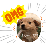 yumehoyuuamomiji
