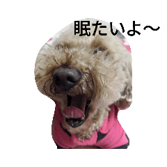 yuina_20200527001800