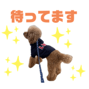 noa_20200526192931123