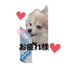 natsumi_20200527002457