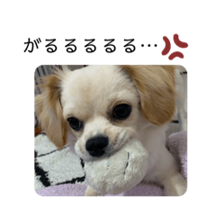 Boa stamp