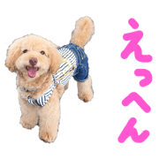 miho_20200526205334