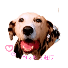 ayumi_20200527094910