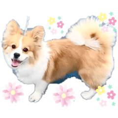 2020052711235 112680 sswertghjjkkvvttf