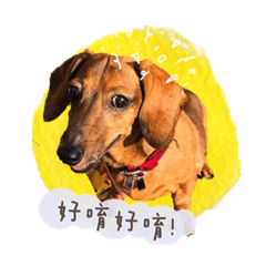 瑪莉蓮lulu第二彈