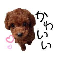 Chisa_20200527150355