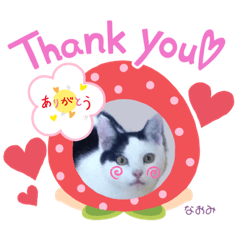 nanana_20200527155811