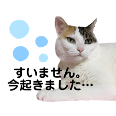 saori_20200527180123