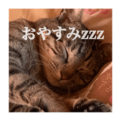 saya_20200527203837