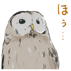 ふわふわフクロウ Line スタンプ Line Store