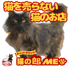 Nekonoyakata ME CATS LINE Stickers Vol.1