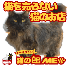 猫の館me Line スタンプ Vol 1 Line スタンプ Line Store