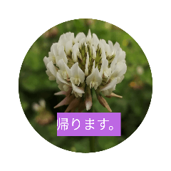 jinke_20200527222042