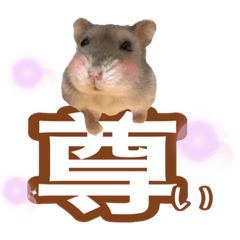 konatsu_20200528000728