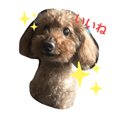 KAHO_20200527220810
