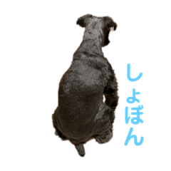 ask_20200528002059
