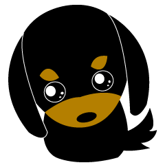 Miniature black dachshund