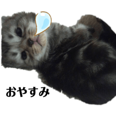 yuaya_20200528003346