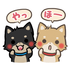 ゆるゆる柴犬 Vol 4 コンビ編 Line スタンプ Line Store