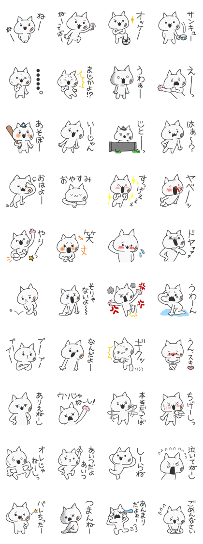 Brother cat !