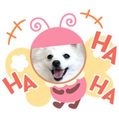 nanami_20200528083206