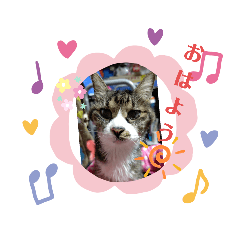 mizuki_20200528122545