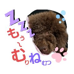 Kong_20200527221246