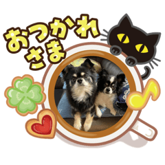 rikumomofamily