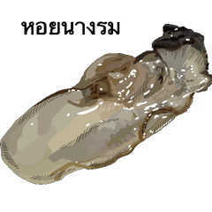 Oyster Thai version
