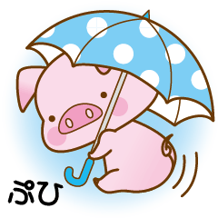 An Umbrella Pig