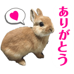 RIHO_20200527214026