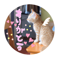 yamada_20200528031941