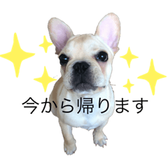 omochi_20200528122741