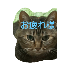 akiko_20200528142504