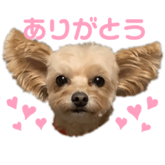 yamada_20200528141619