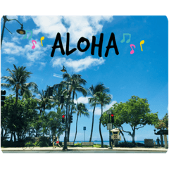 Rrrrrrrrrrrrieeeeeeeeee96826