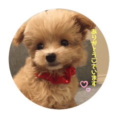mina_20200528161142
