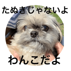 ken_20200528162035