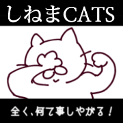 CINEMA CATS
