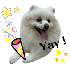 milky stamp 2020