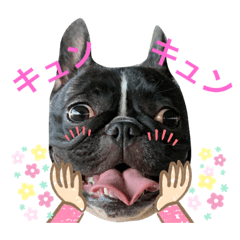 konatsu-buhi