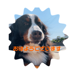 Risa_20200528173600