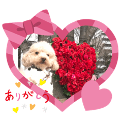 YUKARI_20200528094519