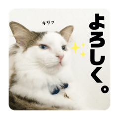Hana_KOTARO