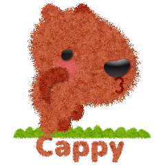 Cappy -JP-
