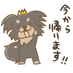 crown-k Dog sticker